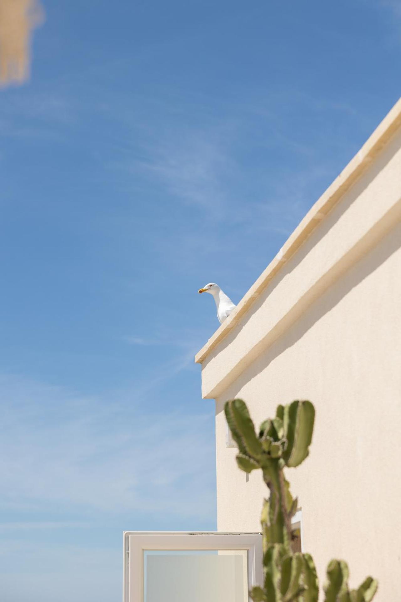 Fronte Mare Casa Daspa *